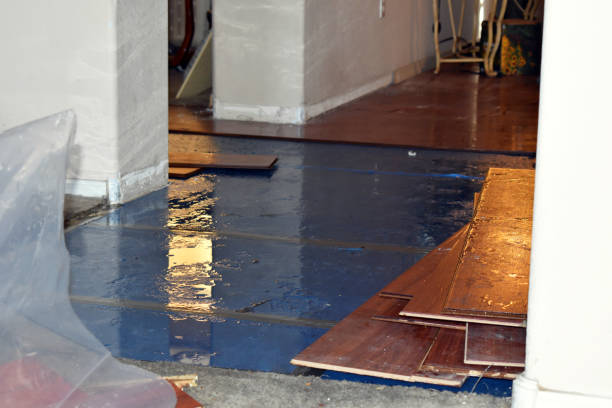 Professional Water Extraction technician working in Savoy, IL